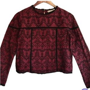 Zara Basic burgundy crop wi black embroidery lace